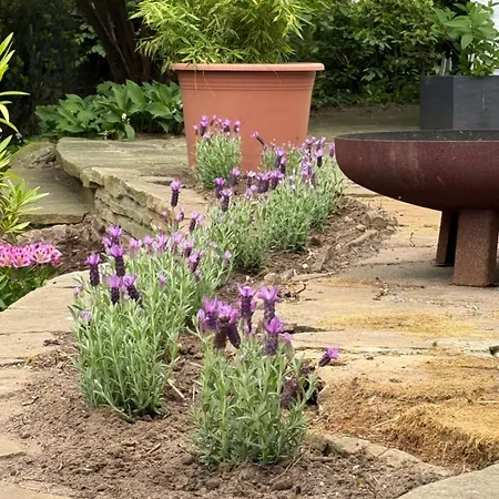 Entspannung Am Niederrhein - Grosses Helles Haus Mit Kamin *