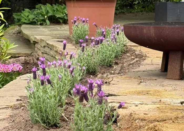 Entspannung Am Niederrhein - Grosses Helles Haus Mit Kamin *